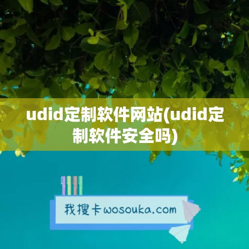 udid定制软件网站(udid定制软件安全吗)