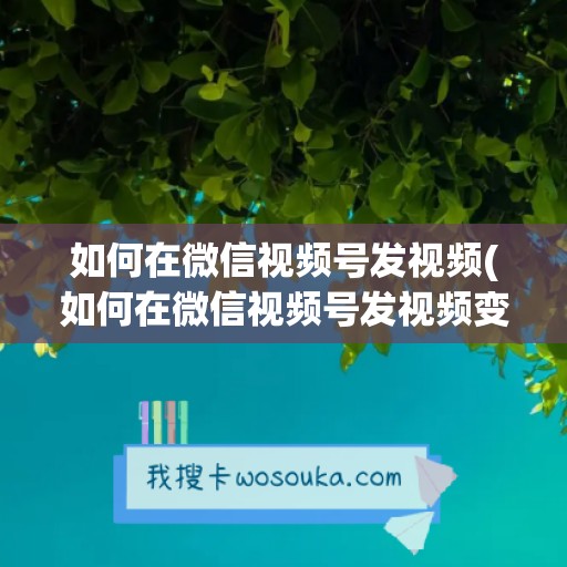 如何在微信视频号发视频(如何在微信视频号发视频变现)