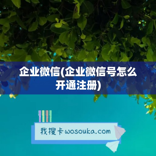 企业微信(企业微信号怎么开通注册)