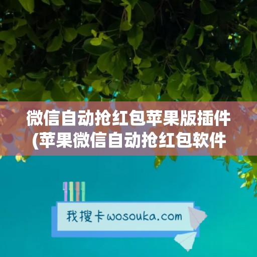 微信自动抢红包苹果版插件(苹果微信自动抢红包软件)