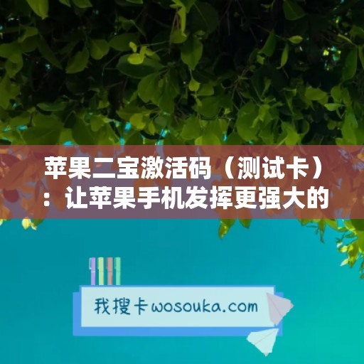 苹果二宝激活码（测试卡）：让苹果手机发挥更强大的功能