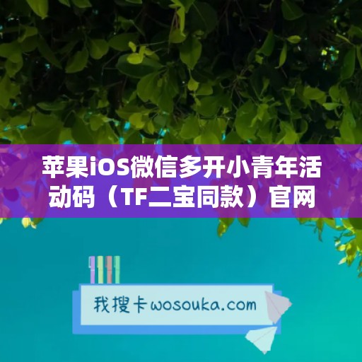 苹果iOS微信多开小青年活动码（TF二宝同款）官网