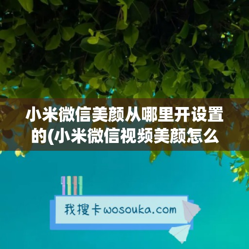 小米微信美颜从哪里开设置的(小米微信视频美颜怎么设置)