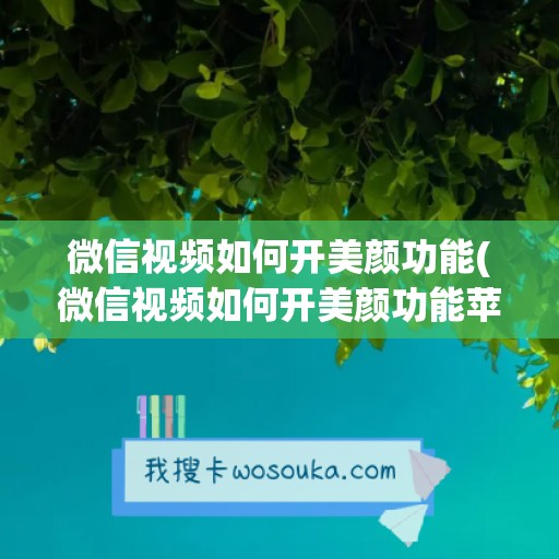 微信视频如何开美颜功能(微信视频如何开美颜功能苹果手机)