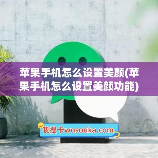 苹果手机怎么设置美颜(苹果手机怎么设置美颜功能)