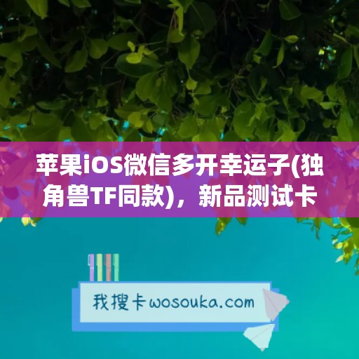 苹果iOS微信多开幸运子(独角兽TF同款)，新品测试卡攻略