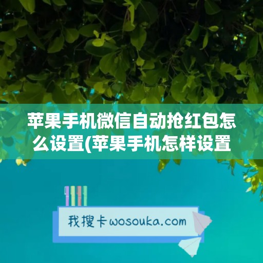 苹果手机微信自动抢红包怎么设置(苹果手机怎样设置微信自动抢红包)