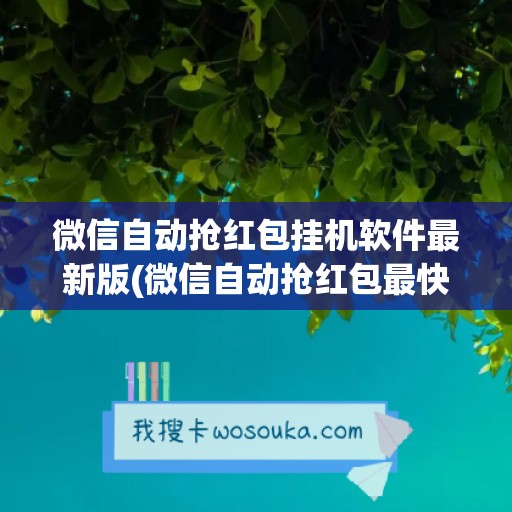 微信自动抢红包挂机软件最新版(微信自动抢红包最快的软件)