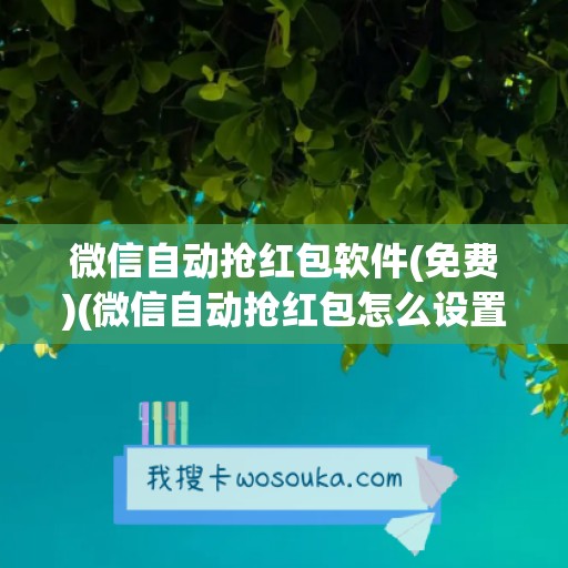 微信自动抢红包软件(免费)(微信自动抢红包怎么设置)