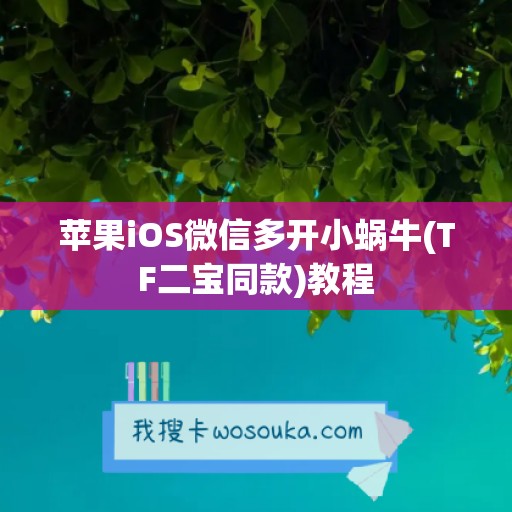 苹果iOS微信多开小蜗牛(TF二宝同款)教程