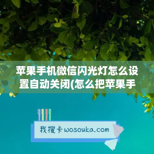 苹果手机微信闪光灯怎么设置自动关闭(怎么把苹果手机微信闪光灯关掉)