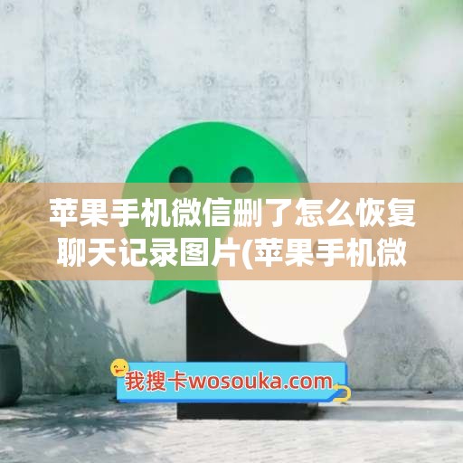 苹果手机微信删了怎么恢复聊天记录图片(苹果手机微信删了聊天记录还能恢复吗)