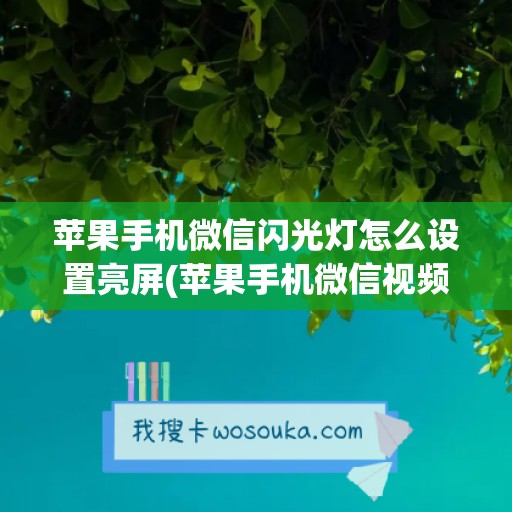 苹果手机微信闪光灯怎么设置亮屏(苹果手机微信视频闪屏怎么回事)