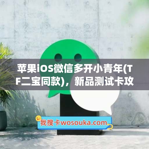 苹果iOS微信多开小青年(TF二宝同款)，新品测试卡攻略