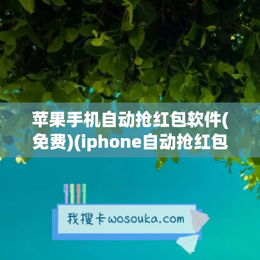 苹果手机自动抢红包软件(免费)(iphone自动抢红包软件下载)