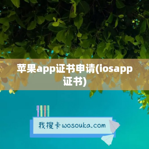 苹果app证书申请(iosapp证书)