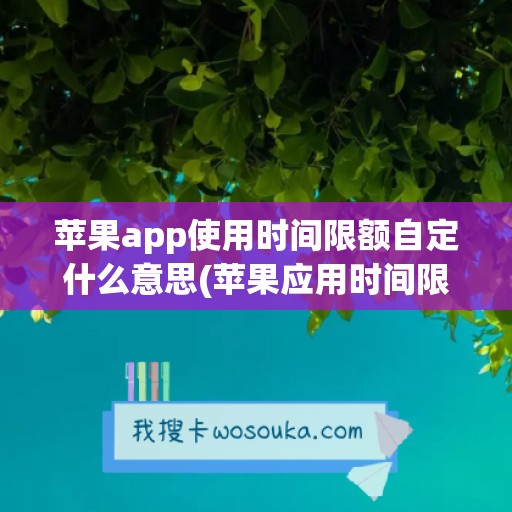 苹果app使用时间限额自定什么意思(苹果应用时间限额)