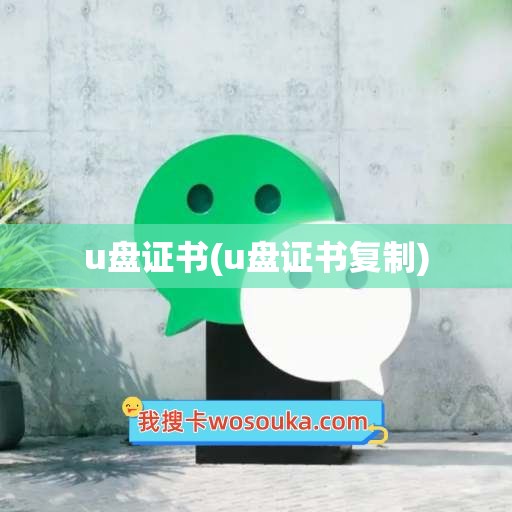 u盘证书(u盘证书复制)