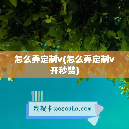 怎么弄定制v(怎么弄定制v开秒赞)