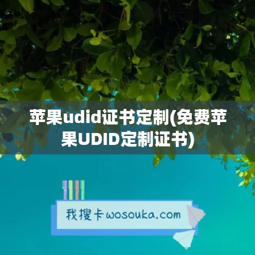 苹果udid证书定制(免费苹果UDID定制证书)