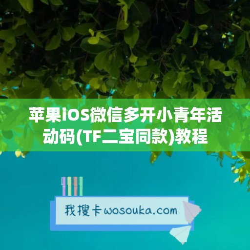 苹果iOS微信多开小青年活动码(TF二宝同款)教程