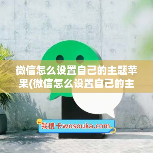 微信怎么设置自己的主题苹果(微信怎么设置自己的主题苹果版)