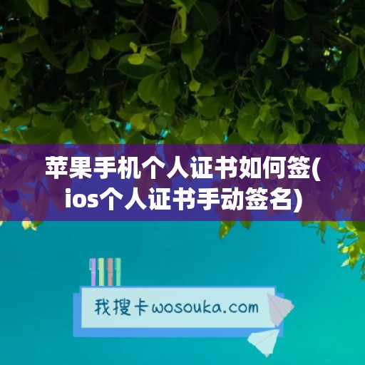 苹果手机个人证书如何签(ios个人证书手动签名)