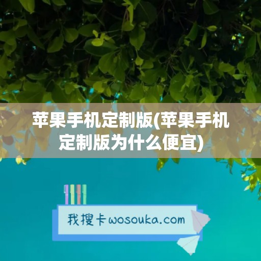 苹果手机定制版(苹果手机定制版为什么便宜)