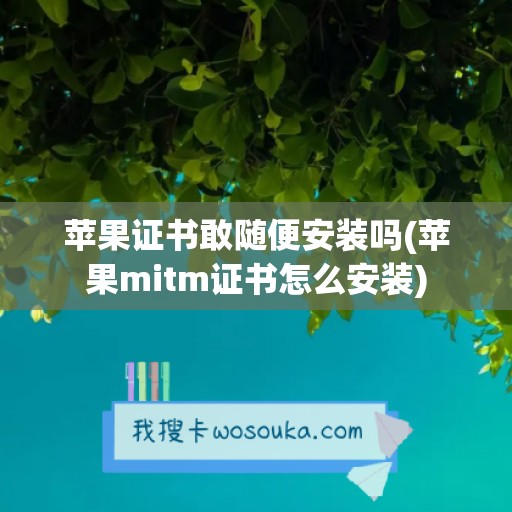 苹果证书敢随便安装吗(苹果mitm证书怎么安装)