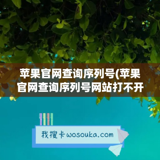 苹果官网查询序列号(苹果官网查询序列号网站打不开)