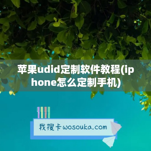 苹果udid定制软件教程(iphone怎么定制手机)