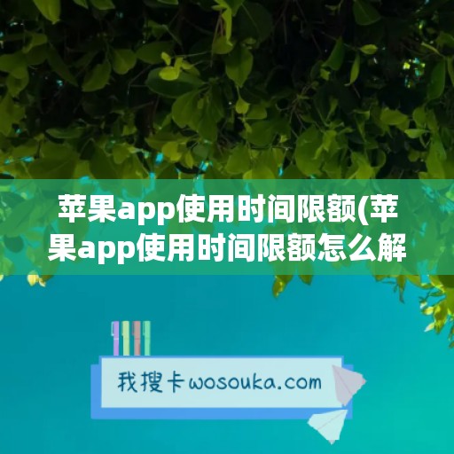 苹果app使用时间限额(苹果app使用时间限额怎么解除)