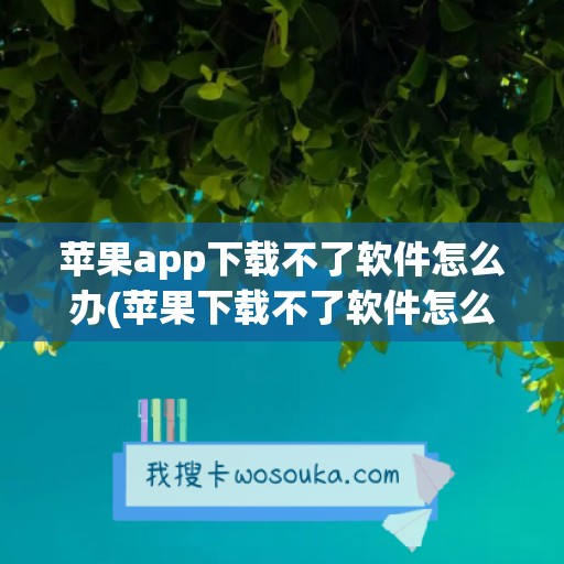 苹果app下载不了软件怎么办(苹果下载不了软件怎么办)