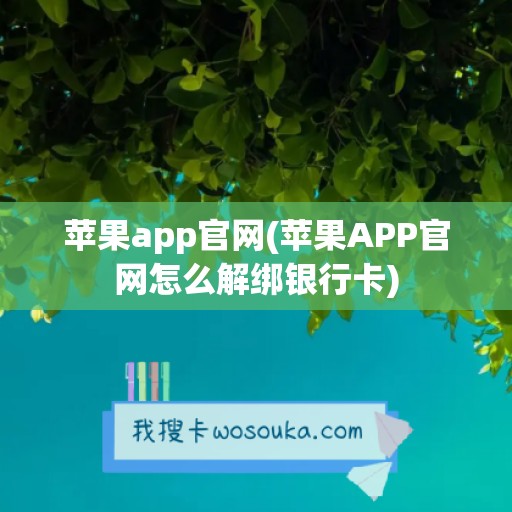 苹果app官网(苹果APP官网怎么解绑银行卡)