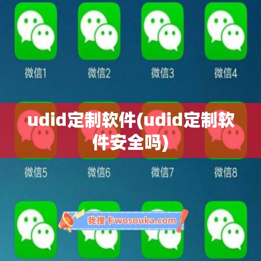 udid定制软件(udid定制软件安全吗)