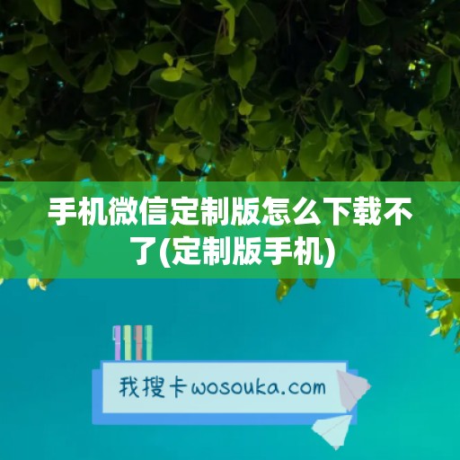 手机微信定制版怎么下载不了(定制版手机)