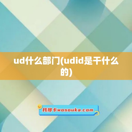 ud什么部门(udid是干什么的)