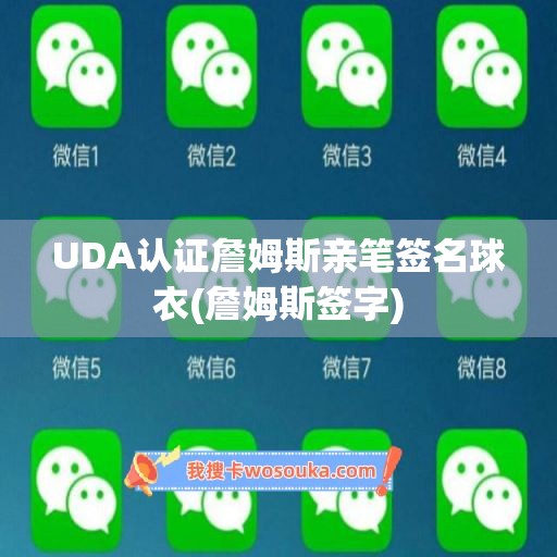 UDA认证詹姆斯亲笔签名球衣(詹姆斯签字)