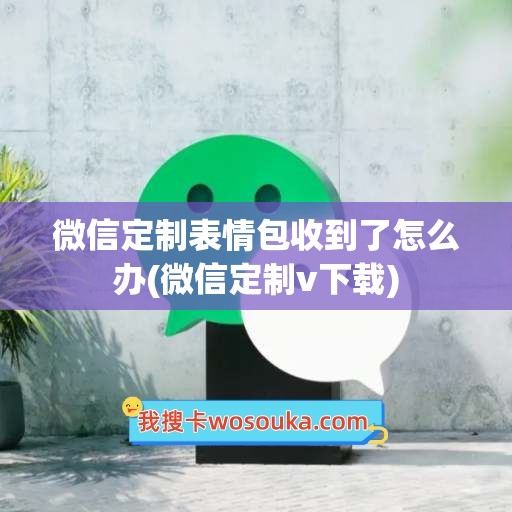 微信定制表情包收到了怎么办(微信定制v下载)