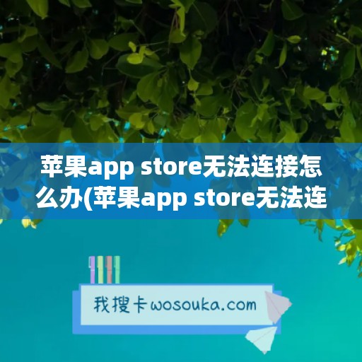 苹果app store无法连接怎么办(苹果app store无法连接怎么办没有无线)