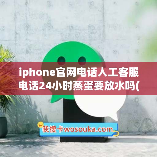 iphone官网电话人工客服电话24小时蒸蛋要放水吗(iphone官网电话人工客服电话24小时)