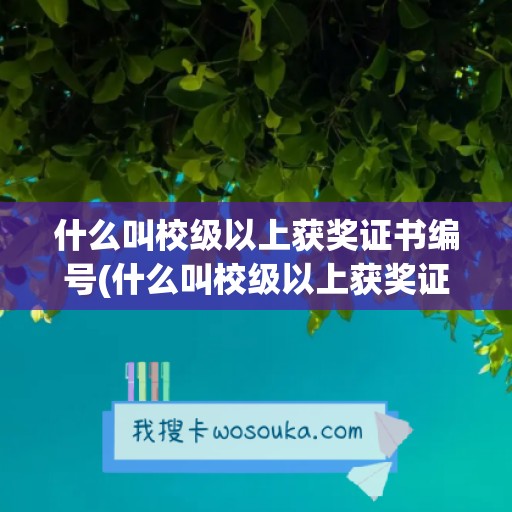 什么叫校级以上获奖证书编号(什么叫校级以上获奖证书编号呢)