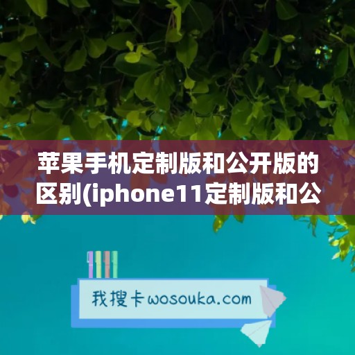 苹果手机定制版和公开版的区别(iphone11定制版和公开版)