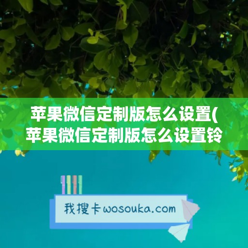 苹果微信定制版怎么设置(苹果微信定制版怎么设置铃声)