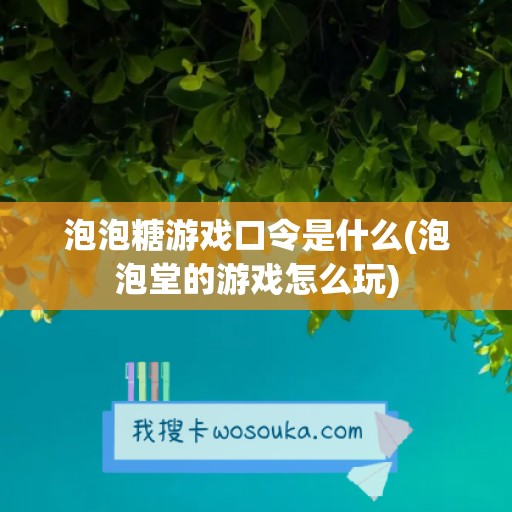 泡泡糖游戏口令是什么(泡泡堂的游戏怎么玩)