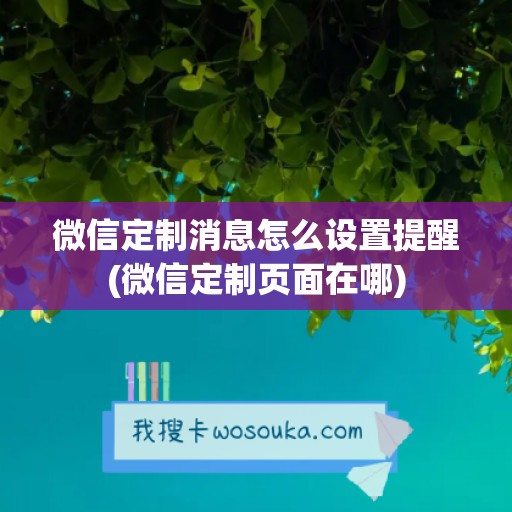 微信定制消息怎么设置提醒(微信定制页面在哪)