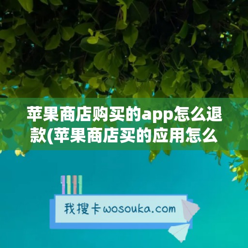 苹果商店购买的app怎么退款(苹果商店买的应用怎么退)