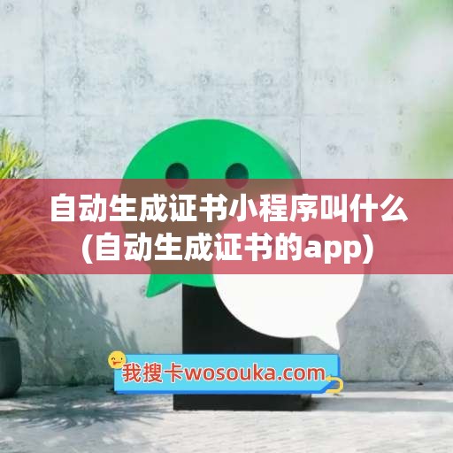 自动生成证书小程序叫什么(自动生成证书的app)