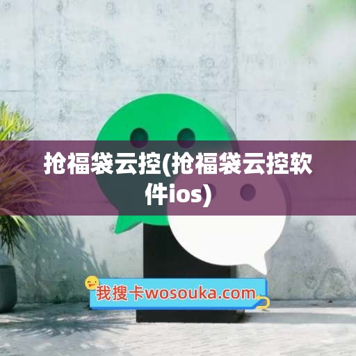 抢福袋云控(抢福袋云控软件ios)