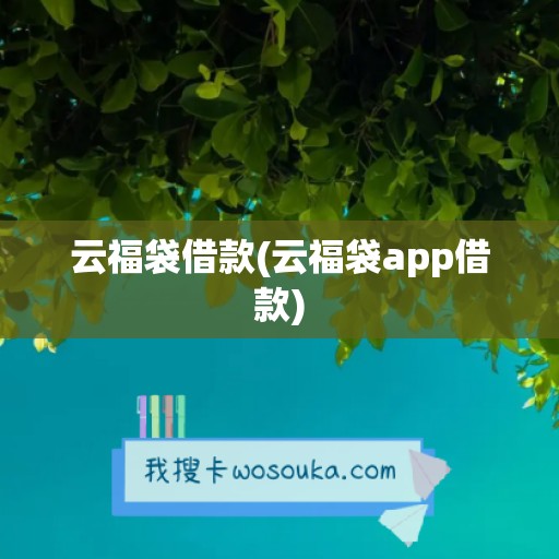 云福袋借款(云福袋app借款)